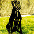 Boxer Mastiff Dog Loss Garden Ornament Memorial Statue Personalised Sculpture